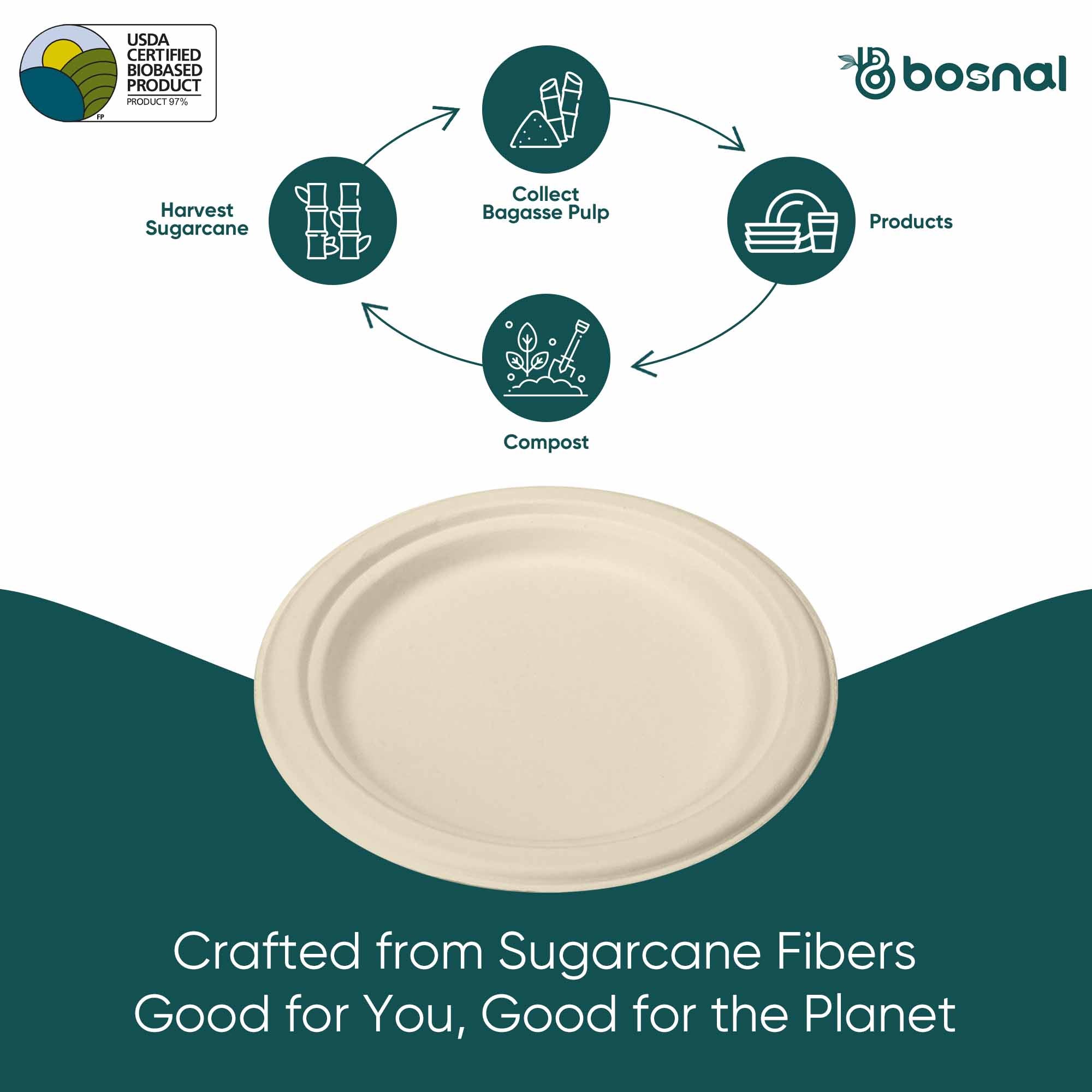 Sugarcane Bagasse Compostable 7 Inch Plates Case of 500