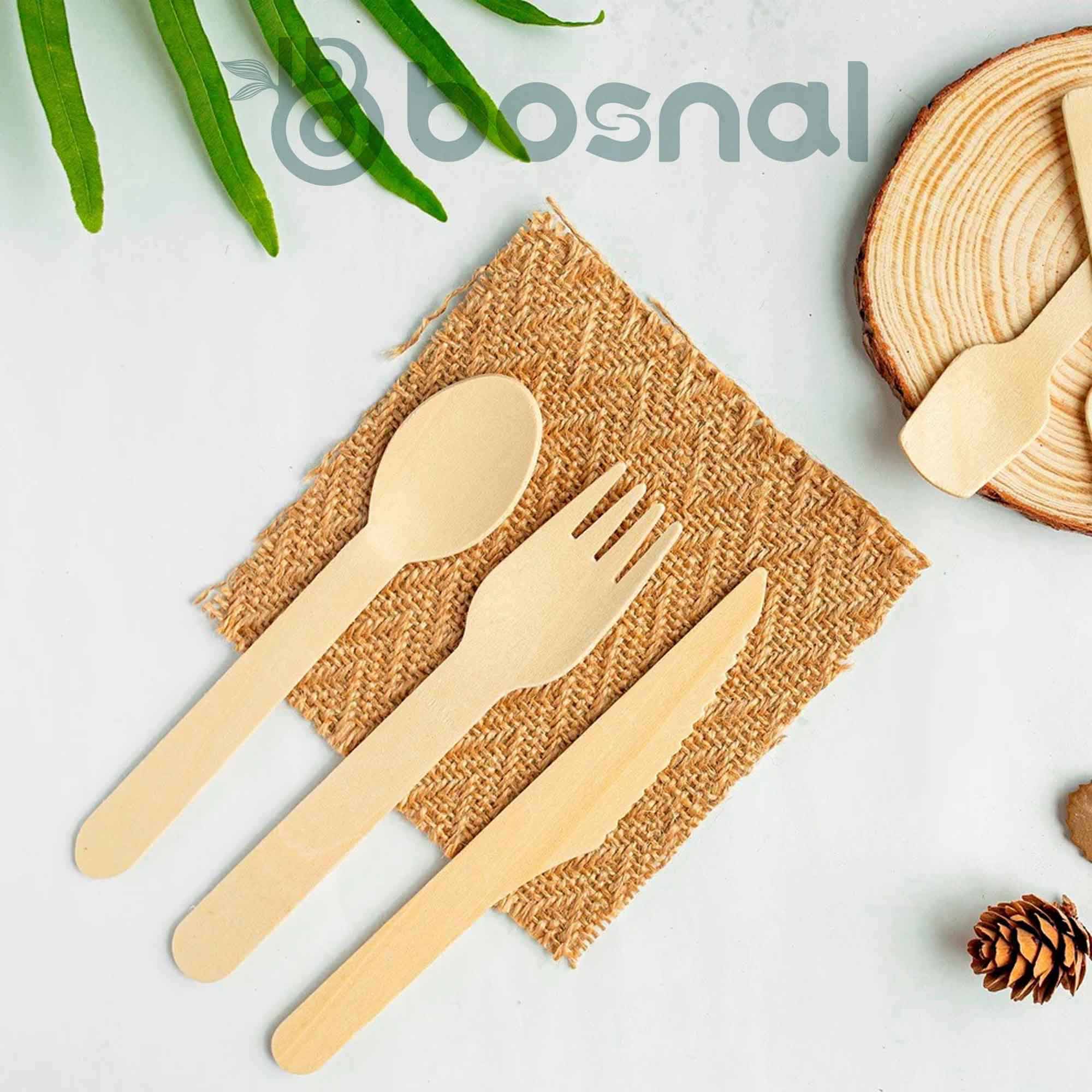 Sugarcane Bagasse Compostable 10 inch & 7 inch Round Plates with Cutlery